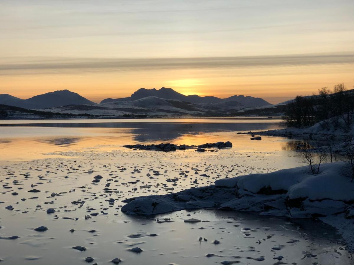 Melishome: Aurora Observatory Tromsø Dış mekan fotoğraf