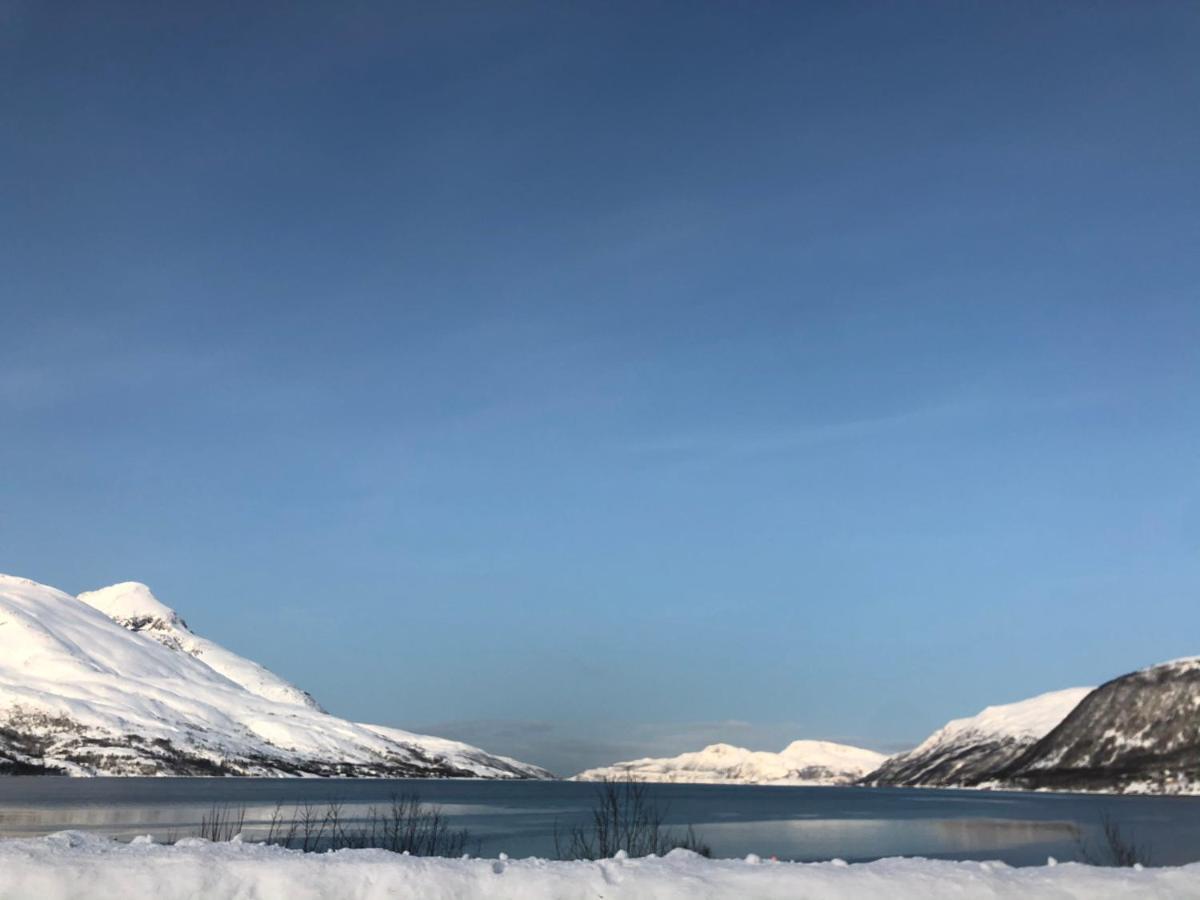 Melishome: Aurora Observatory Tromsø Dış mekan fotoğraf