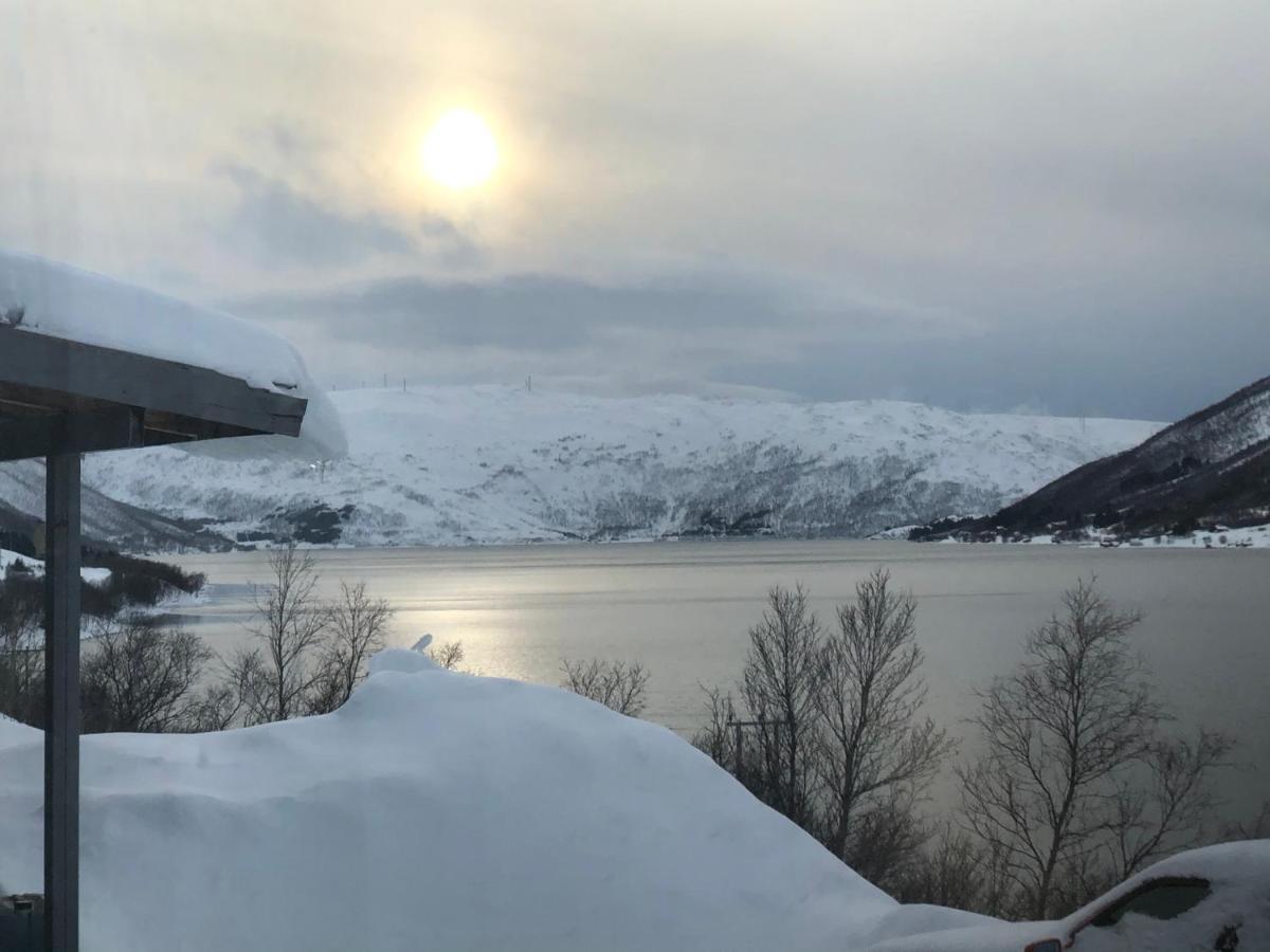 Melishome: Aurora Observatory Tromsø Dış mekan fotoğraf