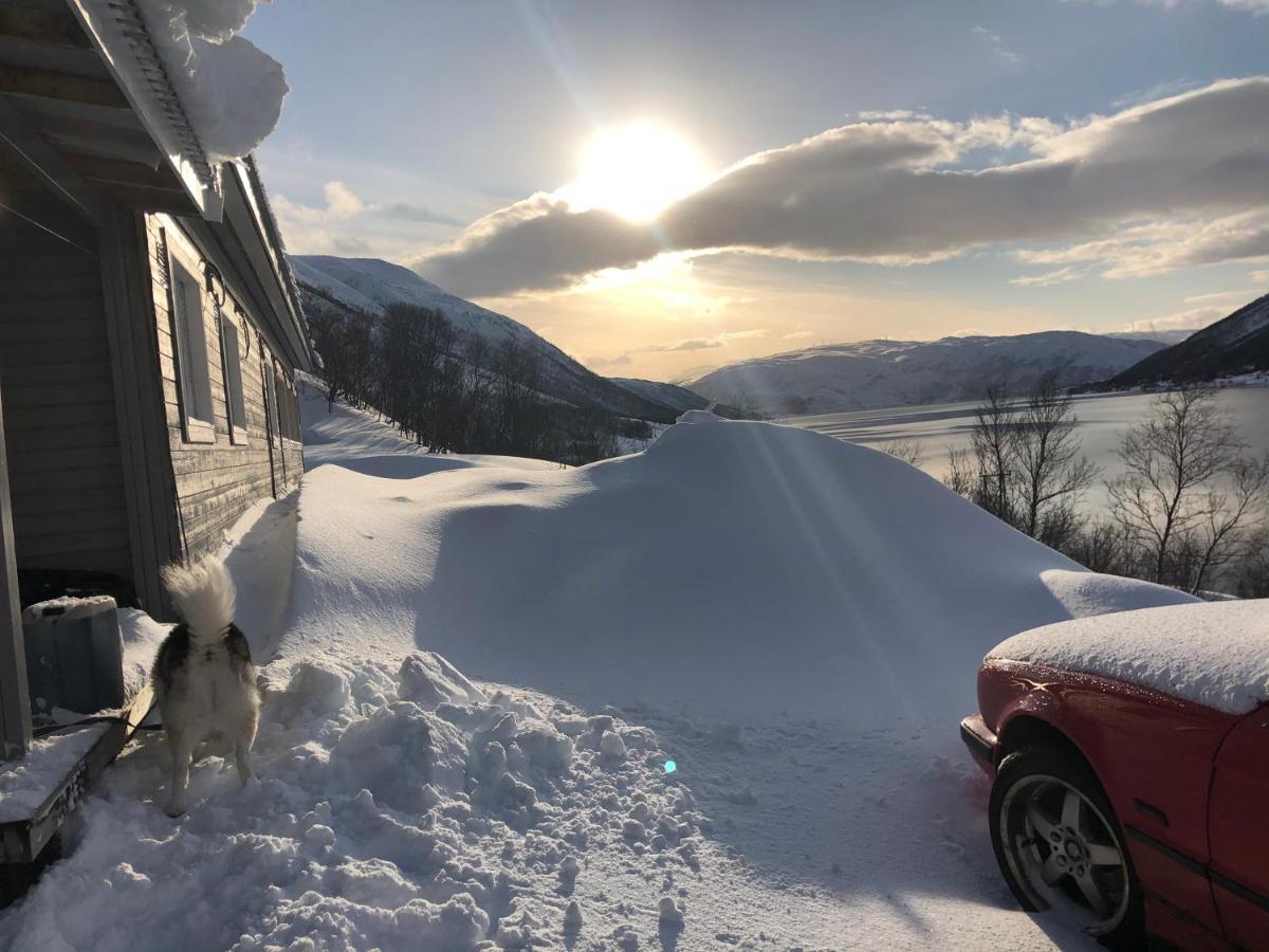 Melishome: Aurora Observatory Tromsø Dış mekan fotoğraf